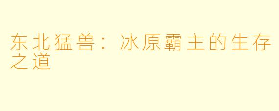 东北猛兽：冰原霸主的生存之道