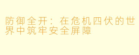 防御全开：在危机四伏的世界中筑牢安全屏障