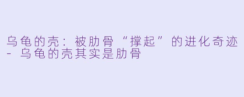 乌龟的壳：被肋骨“撑起”的进化奇迹-乌龟的壳其实是肋骨
