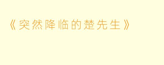 《突然降临的楚先生》