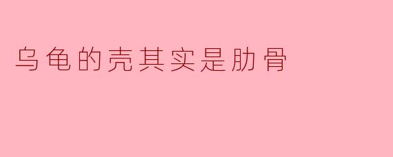 乌龟的壳：被肋骨“撑起”的进化奇迹
