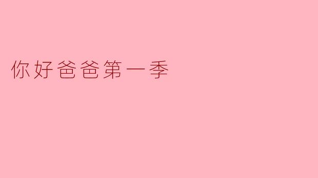 你好爸爸第一季