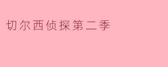 切尔西侦探第二季