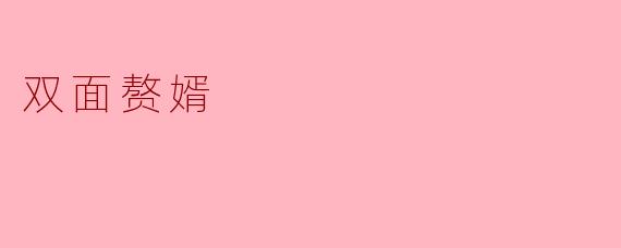 双面赘婿