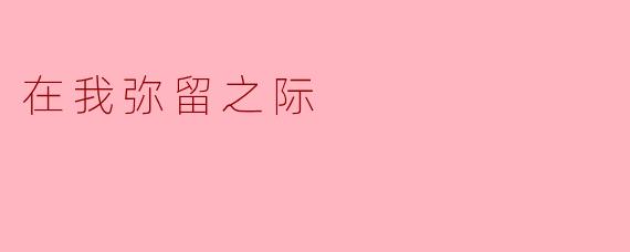在我弥留之际