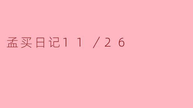 孟买日记11／26