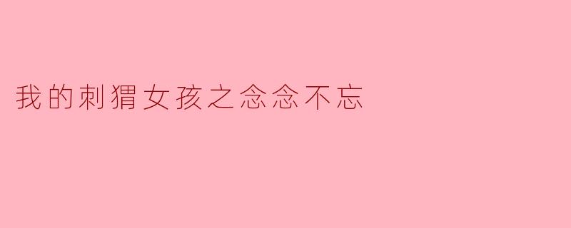 我的刺猬女孩之念念不忘