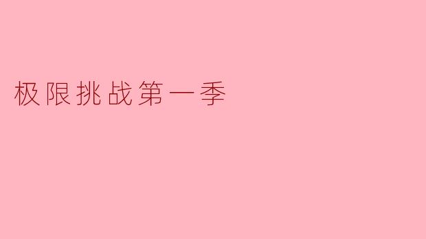极限挑战第一季