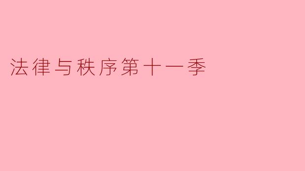 法律与秩序第十一季