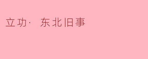立功·东北旧事