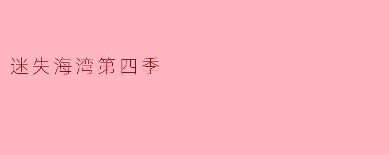 迷失海湾第四季