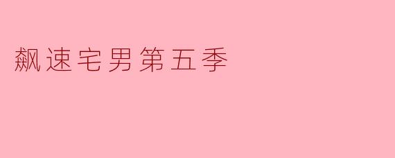 飙速宅男第五季