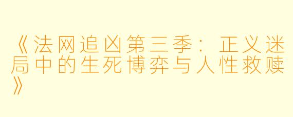 《法网追凶第三季：正义迷局中的生死博弈与人性救赎》