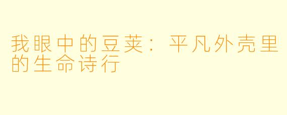 我眼中的豆荚：平凡外壳里的生命诗行
