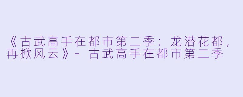《古武高手在都市第二季：龙潜花都，再掀风云》-古武高手在都市第二季