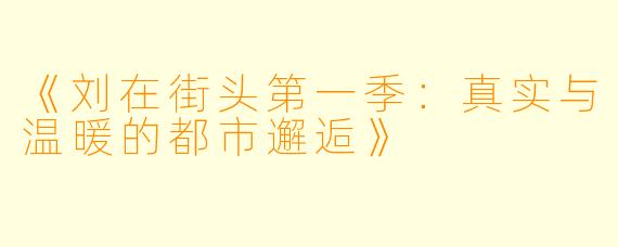 《刘在街头第一季：真实与温暖的都市邂逅》