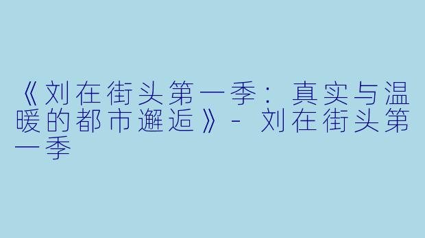 《刘在街头第一季：真实与温暖的都市邂逅》-刘在街头第一季