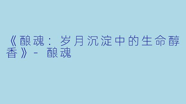 《酿魂：岁月沉淀中的生命醇香》-酿魂