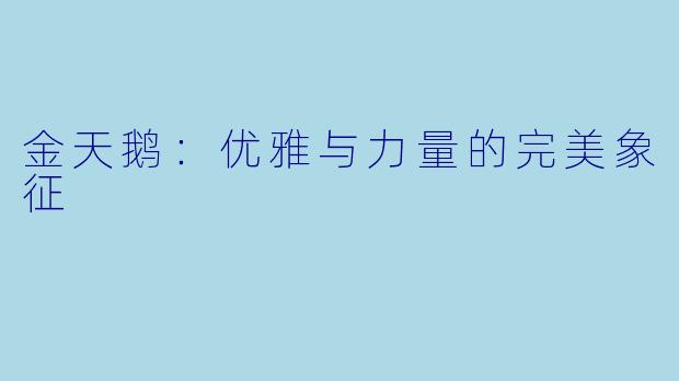 金天鹅：优雅与力量的完美象征