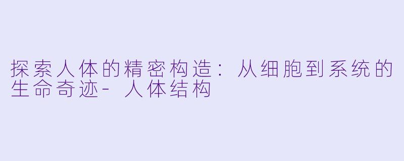 探索人体的精密构造：从细胞到系统的生命奇迹-人体结构