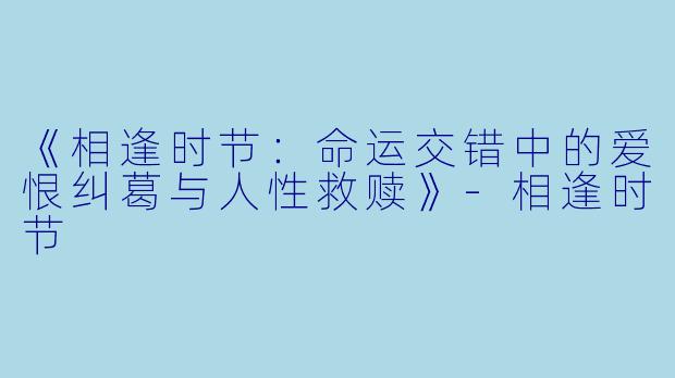 《相逢时节：命运交错中的爱恨纠葛与人性救赎》-相逢时节