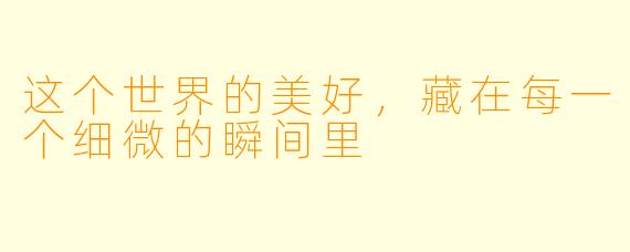 这个世界的美好，藏在每一个细微的瞬间里