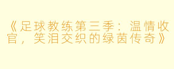 《足球教练第三季：温情收官，笑泪交织的绿茵传奇》