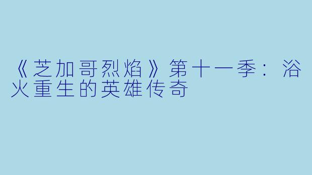 《芝加哥烈焰》第十一季：浴火重生的英雄传奇