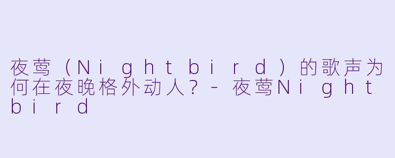 夜莺（Nightbird）的歌声为何在夜晚格外动人？-夜莺Nightbird