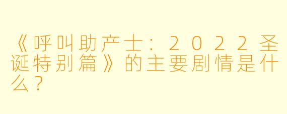《呼叫助产士：2022圣诞特别篇》的主要剧情是什么？