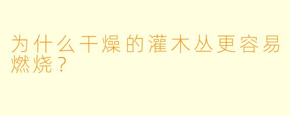 为什么干燥的灌木丛更容易燃烧？