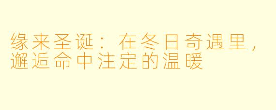 缘来圣诞：在冬日奇遇里，邂逅命中注定的温暖