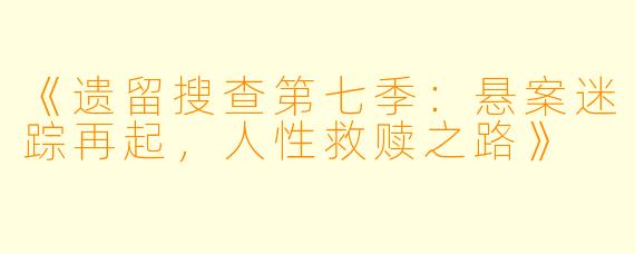 《遗留搜查第七季：悬案迷踪再起，人性救赎之路》