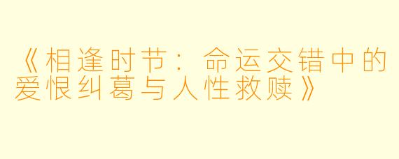 《相逢时节：命运交错中的爱恨纠葛与人性救赎》