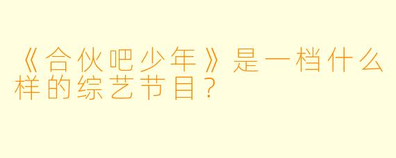 《合伙吧少年》是一档什么样的综艺节目？