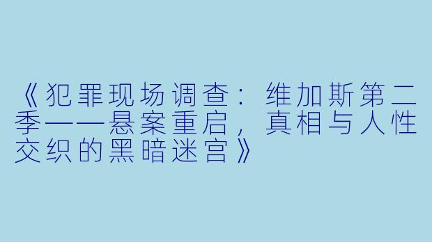 《犯罪现场调查：维加斯第二季——悬案重启，真相与人性交织的黑暗迷宫》