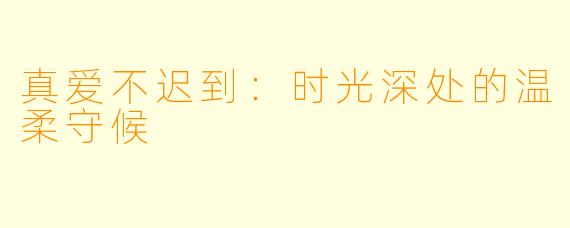 真爱不迟到：时光深处的温柔守候