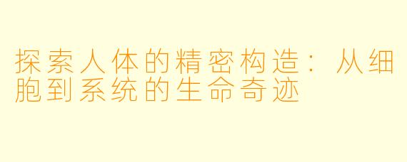探索人体的精密构造：从细胞到系统的生命奇迹