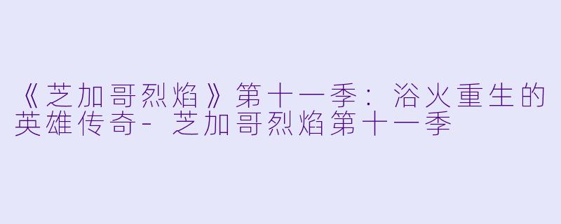 《芝加哥烈焰》第十一季：浴火重生的英雄传奇-芝加哥烈焰第十一季