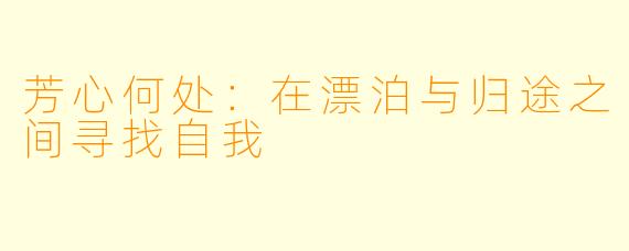 芳心何处：在漂泊与归途之间寻找自我