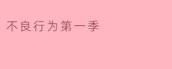 不良行为第一季
