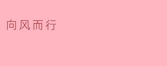 向风而行