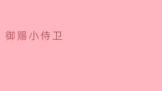 御赐小侍卫