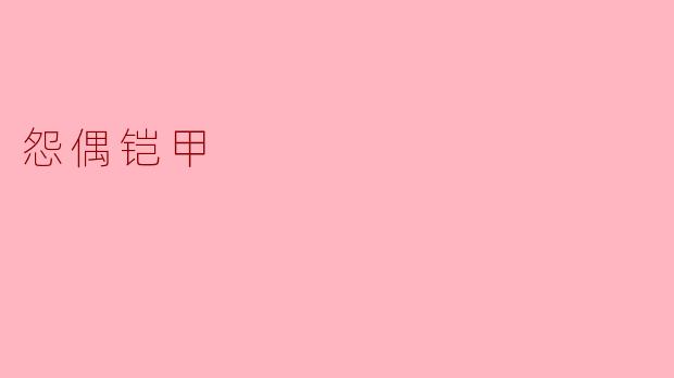 怨偶铠甲