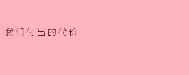 我们付出的代价