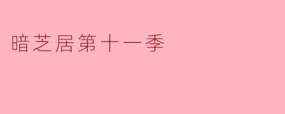 暗芝居第十一季