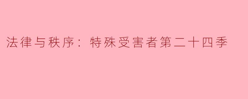法律与秩序：特殊受害者第二十四季