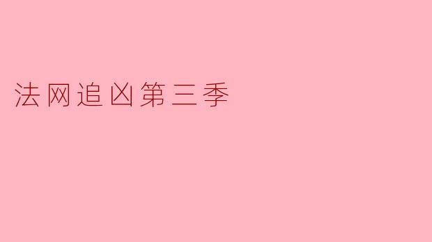 法网追凶第三季