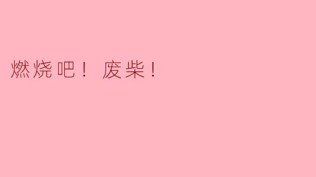 燃烧吧！废柴！