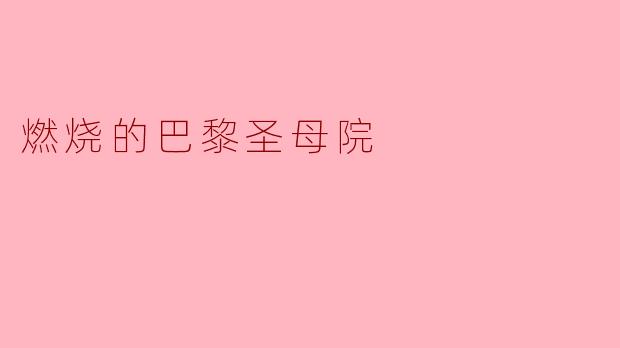 燃烧的巴黎圣母院